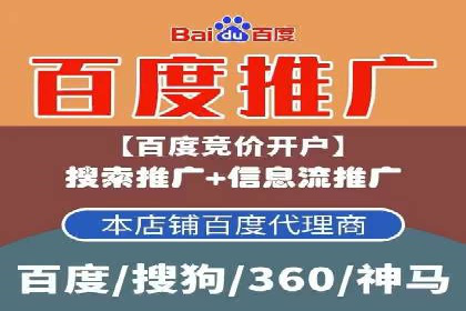 百度推广广告案例：快速抢占市场份额